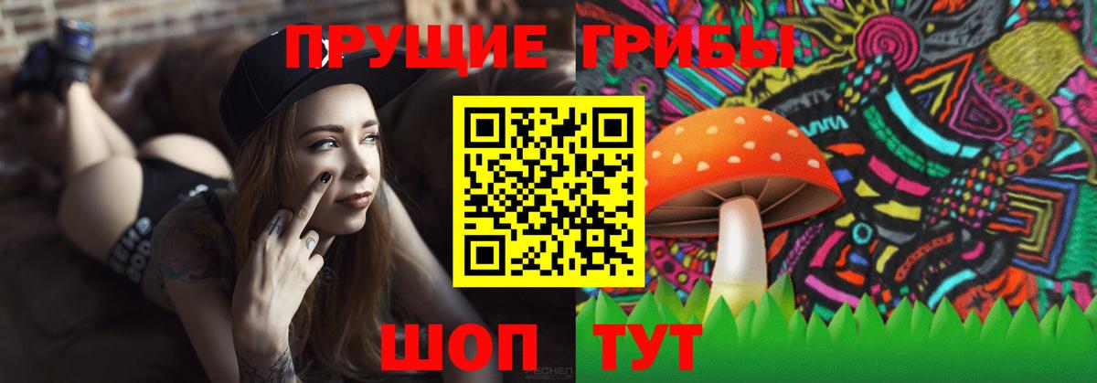 Трёхгорный  Псилоцибиновые грибы Magic Shrooms  Вход с VPN  Псилоцибиновые грибы Magic Shrooms 